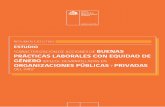 ESTUDIO BUENAS PRÁCTICAS LABORALES CON EQUIDAD DE ... · Caracterización de Acciones de Buenas Prácticas Laborales con Equidad de Género (BPLEG), desarrolladas en organizaciones