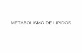 METABOLISMO DE LIPIDOSMETABOLISMO DE LIPIDOS · Catabolismo de los lípidosCatabolismo de los lípidos • Un mamífero contiene entre un 5% y un 25%, o más, de su peso corporal