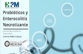 -author · Enterocolitis Necrotizante Neonatología Hospital de Puerto Montt Interno Pablo Cosque DE MEDICINA UNIVERSIDAD SAN SEBASTIAN PROBIÓTICOS Medidas preventivas . erocolitis