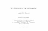 CUADERNOS DE ALGEBRA´ No. 4 Algebra lineal´ciencias.uis.edu.co/algebralineal2/doc/Cuadernos de... · lector haya estudiado previamente un curso elemental de algebra lineal cl´asica,