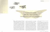 Conservación de las monarcas, desprecio por los plebeyosvinculacion.dgire.unam.mx/vinculacion-1/sitio_LCDC/PDF-LCDC/REVI… · teporingo o la mariposa monarca), pueden constituirse