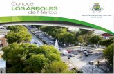 Conoce LOS ÁRBOLES de Mérida - merida.gob.mxmerida.gob.mx/.../contenidos/doc/ConoceLosArboles.pdf · Los árboles que tenemos en la ciudad nos dan una mejor calidad de vida. ...