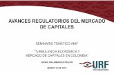 AVANCES REGULATORIOS DEL MERCADO DE CAPITALESanif.co/sites/default/files/memorias/david... · Definir los estándares y las mejoras prácticas de regulación prudencial que adoptaría