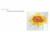 Diana del Ángel Poemas de la sombra - Fundación para las ...flm.mx/DianaDelAngel.pdf · mientras se abraza las piernas y aprieta los muslos tratando de cerrar una herida irreparable.