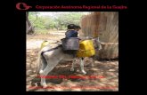Corporación Autónoma Regional de La Guajira · 2019-11-23 · INSTRUMENTOS DE PLANIFICACIÓN PARA EL PMAS DE MAICAO CONCESIONES DE AGUA SUBTERRÁNEA TASA POR USO DEL AGUA Legalización