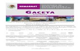 DGIRA/027/10 SEMARNAT/DGIRA P E I R A E P A R M I Asinat.semarnat.gob.mx/Gacetas/archivos2010/gaceta_27-10.pdf · 2014-10-30 · eventual abandono de la red de distribuciÓn de gas