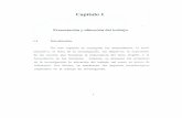 Capitulo1 - Universidad de Sonoratesis.uson.mx/digital/tesis/docs/7407/Capitulo1.pdf · lineales y la no-negatividad de las variables involucradas. Una solución óptima ( si existe