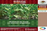 Siembra de maíz en surcos angostos · Las nuevas sembradoras de precisión a 50 centímetros se pueden adquirir en diferentes concesionarias de marcas en la región Ciénega de Chapala