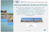 RESUMEN EJECUTIVO - Ministerio de Energía y Minas€¦ · Resumen Ejecutivo: Estudio de Impacto Ambiental para el “Proyecto de Perforación de 23 Pozos Exploratorios y 92 Pozos