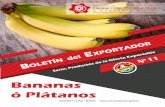 Bananas ó Plátanos - VCIEvcie.produccion.gob.bo/siexco/web/bundles/portal/bole...5 Exportaciones por producto Dentro de las exportaciones de Bananas ó Plátanos, existe un producto