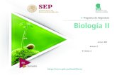 Programa de Asignatura Biología II - Gobrepositorio.cbachilleres.edu.mx/wp-content/...Ubicación 13 Intenciones educativas Área de Formación Campo disciplinar Materia Aprendizajes
