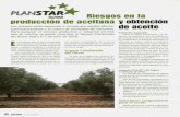 **,L PLANSTAR Riesgos en la producción de aceituna obtención de … · 2012-12-12 · **,L PLANSTAR OLIVAR Riesgos en la producción de aceituna v obtención Los olivares están