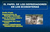 EL PAPEL DE LOS DEPREDADORES EN LOS ECOSISTEMASlobomarley.org/wp-content/uploads/2013/11/PAPEL-DE-LOS-DEPREDADORES.pdfLos grandes depredadores son parte esencial de los ecosistemas