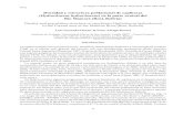 Densidad y estructura poblacional de capibaras ...ecologiaenbolivia.com/documents/Guizada49135-40final.pdf · Densidad y estructura poblacional de capibaras en Rio Mamoré (Beni,