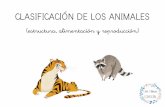 CLASIFICACIÓN DE LOS ANIMALES...Clasificación de los animales según su reproducción CLASIFICACIÓN DE LOS ANIMALES . VERTEBRADOS INVERTEBRADOS Tienen huesos (mamíferos, aves,