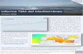 Informe TSM del Mediterráneo - CEAM€¦ · El gradiente de temperatura Norte-Sur es mucho más débil que en los meses anteriores pero sí se ob-serva un gradiente positivo claro