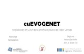 cuEVOGENET - Universidad de Sevilla cuEVOGENE… · booleanas • Continuo: ... Algoritmo de optimización heurístico. Definiciones: ... • Expresiones genéricas que ejecuten todos