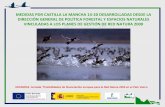 MEDIDAS PDR CASTILLA LA MANCHA 14-20 DESARROLLADAS … · APLICACIÓN DE LAS MEDIDAS DE CONSERVACIÓN. MEDIDA 12.1 PDR 2014-2020 MEDIDA 12: Pagos al amparo de Natura 2000 y de la