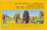 fupro19.org.mxfupro19.org.mx/wp-content/uploads/2013/03/Guia-para-cultivar-Amar… · PI-AGAS Y ENFERMEDADES Son varias las plagas y enfermedades que afectan al amaranto, algunas
