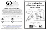 ¿Qué es Aves Argentinas?avesargentinas.org.ar/sites/default/files/Cuadernillo_tafico.pdf · International, que con 100 años de trayectoria, trabajamos para salvar las aves silvestres