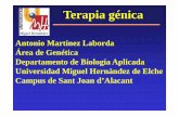 Antonio Martínez Laborda Área de Genética …umh3625.edu.umh.es/wp-content/uploads/sites/882/2015/03...Abundancia de los diferentes tipos de linfocitos en los dos pacientes. Conteos