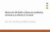 Reducción de Sodio y Grasa en productos cárnicos …...de procesos y la puesta en marcha de ensayos que permitan encontrar el mejor el producto sensorialmente similar al patrón