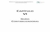 CAPÍTULO VI - Iniciosecfin.bcs.gob.mx/fnz/wp-content/themes/fnz_bcs/assets/images/... · manual de contabilidad gubernamental guÍa contabilizadora v.1.8 fondo rotatorio o revolvente