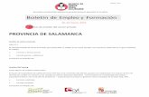Boletín de Empleo y Formación - Duero-Douronuncaestarde.duero-douro.com/images/boletines/9-NETBoletin18a24… · El equipo de especialistas de calidad de everis NTT data está creciendo
