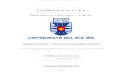 UNIVERSIDAD DEL BÍO-BÍO - ubiobio.clrepobib.ubiobio.cl/jspui/bitstream/123456789/236/1/... · Mientras el año anterior el sondeo realizado anualmente por INJUV definió las principales