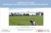 CONTROL DE FAUNA AEROPUERTO INTERNACIONAL ELDORADO … ELDORADO 2011.pdf · 1. Bubulcus ibis - Garza de ganado 5 4 0 0 5 1 2. Zenaida auriculata - Tórtola 5 4 2 0 5 1 3. Coragyps