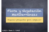 Flora y Vegetación Mediterráneas - Universidad de Sevillaasignatura.us.es/afloveg/Presentaciones-FVM/FVM01-Flora-Vegetacion-color.pdf · FLORA como documento Obra que trata de ellas,