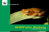 WWFolio Bolivia - d2ouvy59p0dg6k.cloudfront.netd2ouvy59p0dg6k.cloudfront.net/downloads/ · de la Ley 1700, y el desarrollo de la certificación forestal FSC en el país. La Ley 1700,
