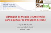 Estrategias de manejo y nutricionales para maximizar la ...todoagro.com.ar/.../Jornadas_Lecheras_2019/AlejandroCastillo_jln20… · Producción de leche (2) Tratamientos ** Nivel