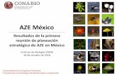Presentación de PowerPoint - Biodiversidad Mexicana · haciendo uso de los recursos que tengan disponibles. • Se explorará la posibilidad de establecer acuerdos de colaboración