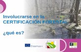 Involucrarse en la CERTIFICACIÓN FORESTAL qué es?eforown.ctfc.cat/pdf/43a_Involucrarse a la certificacion... · 2019-09-25 · Las ONG medioambientales están "surfeando" sobre