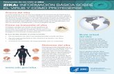 Zika: Información sobre el virus · ZIKA: INFORMACIÓN BÁSICA SOBRE EL VIRUS Y CÓMO PROTEGERSE Acerca del zika La enfermedad del virus del Zika se propaga entre las personas principalmente