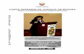 CORTE SUPERIOR DE JUSTICIA DE HUAURAhistorico.pj.gob.pe/cortesuperior/Huaura/documentos/bolet%EDn%20… · BOLETÍN INFORMATIVO EDICIÓN Nº 02 – 2009 Presidente: Dr. Víctor Raúl