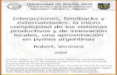 Interacciones, feedbacks y externalidades: la micro ...bibliotecadigital.econ.uba.ar/download/tesis/1501-1211_RobertV.pdf · Los autores mostraron la existencia de sistemas auto-organizados