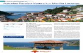 CIRCUITOS FEBRERO-DICIEMBRE 2020 Asturias Paraíso Natural … · Desayuno en el hotel y excursión a Ribadesella, población tí-pica asturiana a orillas del Río Sella, en el que