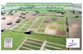 Investigación en el sistema del secano semiárido · 2013-02-12 · de lluvia con periodos de retorno próximos a los 10 años. El laboreo a nivel, en el secano mediterráneo, debe