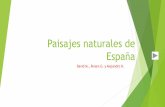 Paisajes naturales de España · 2020-02-27 · El relieve de España es caracterizado por ser bastante elevado, con una altitud media de 660 metros, es bastante montañoso si lo