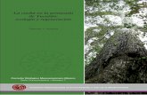La caoba en la península de Yucatán: ecología y …bioteca.biodiversidad.gob.mx/janium/Documentos/6518.pdf5 co n t e n i d o Presentación 3 Introducción 9 Resumen 13 I. Distribución