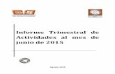 Informe Trimestral de Actividades al mes de junio de 2015transparencia.esonora.gob.mx/NR/rdonlyres/14971B8E-081F-4A22-A… · resume de manera cuantitativa y cualitativa los temas