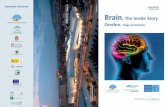 Sumando esfuerzos Noviembre 2010 Exosición 2010-2013 Brain … · 2015-06-28 · y sueños, son posibles gracias al cerebro. La exposición aborda diversas preguntas fundamentales