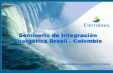 Seminario de Integración Energética Brasil - Colombia · Reorientación de los negocios de distribuición ... aliados estratégicos con prácticas de eficiencia y gobernancia elevadas,