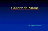 Cáncer de Mamacrece.org.gt/publicaciones/Cancer de mama.pdf · 2008-06-05 · Cáncer de mama Indicaciones ÄPacientes sintomáticas ÄFactores de riesgo Ä35-50 años. Depende Ä>