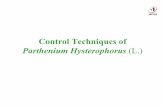 Control Techniques of Parthenium Hysterophorus (L.) · 2018-07-28 · Parthenium Hysterophorus (L.) • An annual exotic alien weed, currently considered one of the seven most dreaded