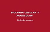 BIOLOGIA CELULAR Y MOLECULAR - unq.edu.arplmenna.blog.unq.edu.ar/wp-content/.../U8-BIOLOGIA... · BIOLOGIA CELULAR Y MOLECULAR . Los conocimientos biomédicos y las causas de cáncer.