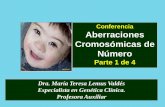 Conferencia Aberraciones Cromosómicas de Númerouvsfajardo.sld.cu/sites/uvsfajardo.sld.cu/files/aberraciones_numero_03.pdfSeparación de los centrómeros. Cada cromátida se independiza.