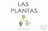 LAS PLANTAS - WordPress.comCÓMO CUIDAR LAS PLANTAS miradaespecial.com En invierno, para protegerlas del frío, las guardamos en invernaderos